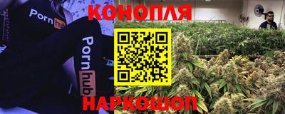 соль ск Лесосибирск