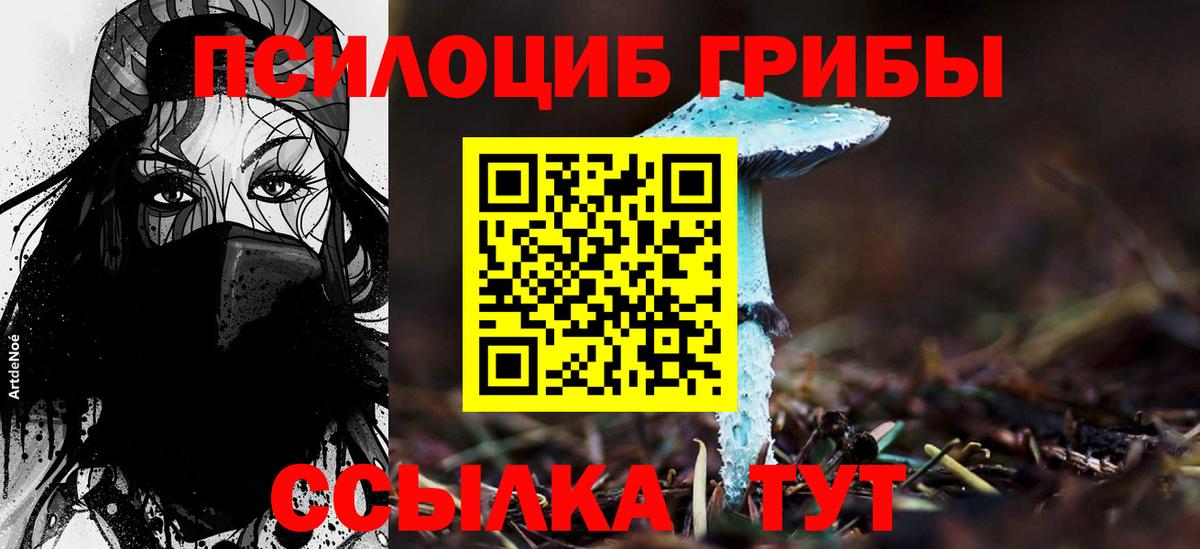 Сертолово  Псилоцибиновые грибы мухоморы  Вход с VPN 