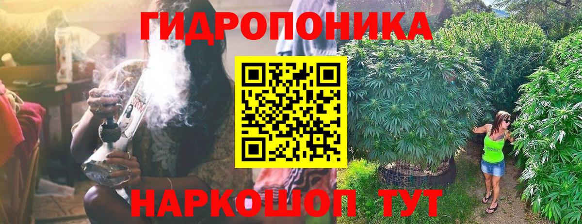 Шишки марихуана семена Сертолово